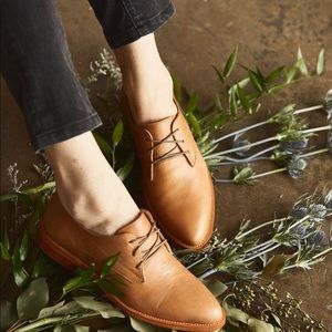 Nisolo James Oxfords - size 8.5